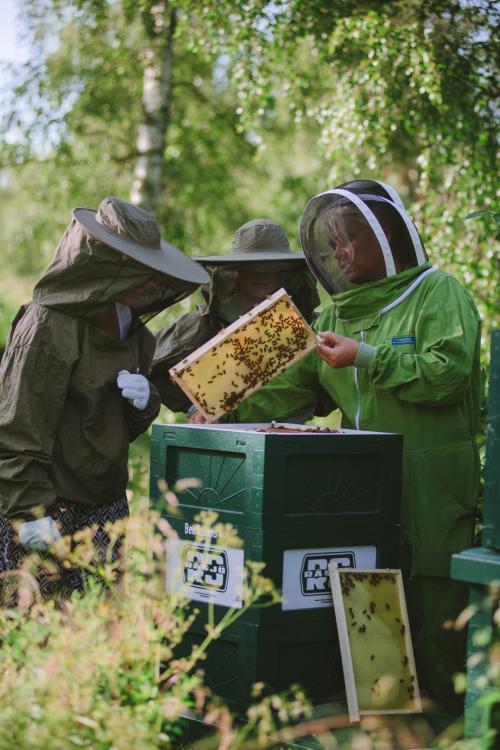 Besök i bikupan 