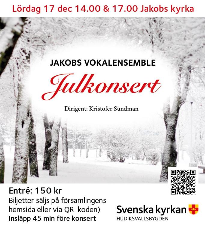 Julkonsert med Jakobs Vokalensemble - Jakobs kyrka