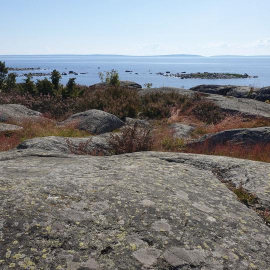 Utsikt över havet med klippor i förgrunden