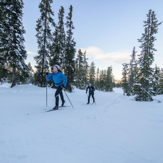 Längdskidåkare vid Forsså Herrgård Ski Arena