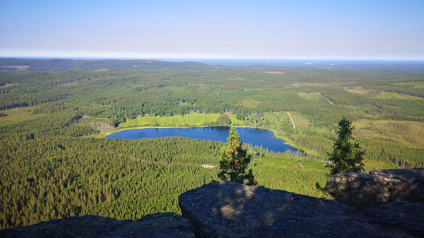 Utsikt över gröna skogar och en blå sjö, ända ut till havet från Blacksås